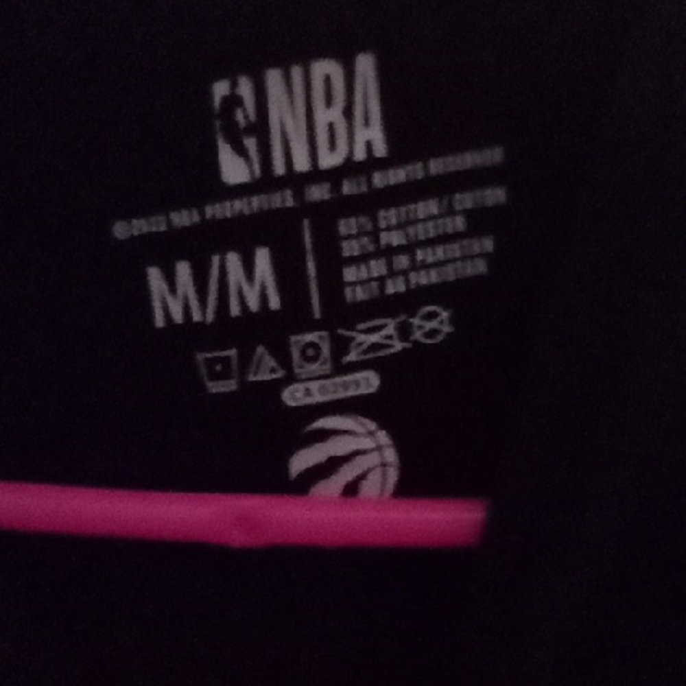Toronto Raptors Çrewn³d - Picture 2 of 11